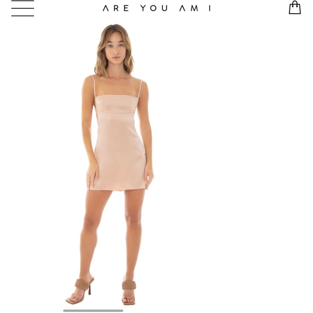 ARE YOU AM I silk dress